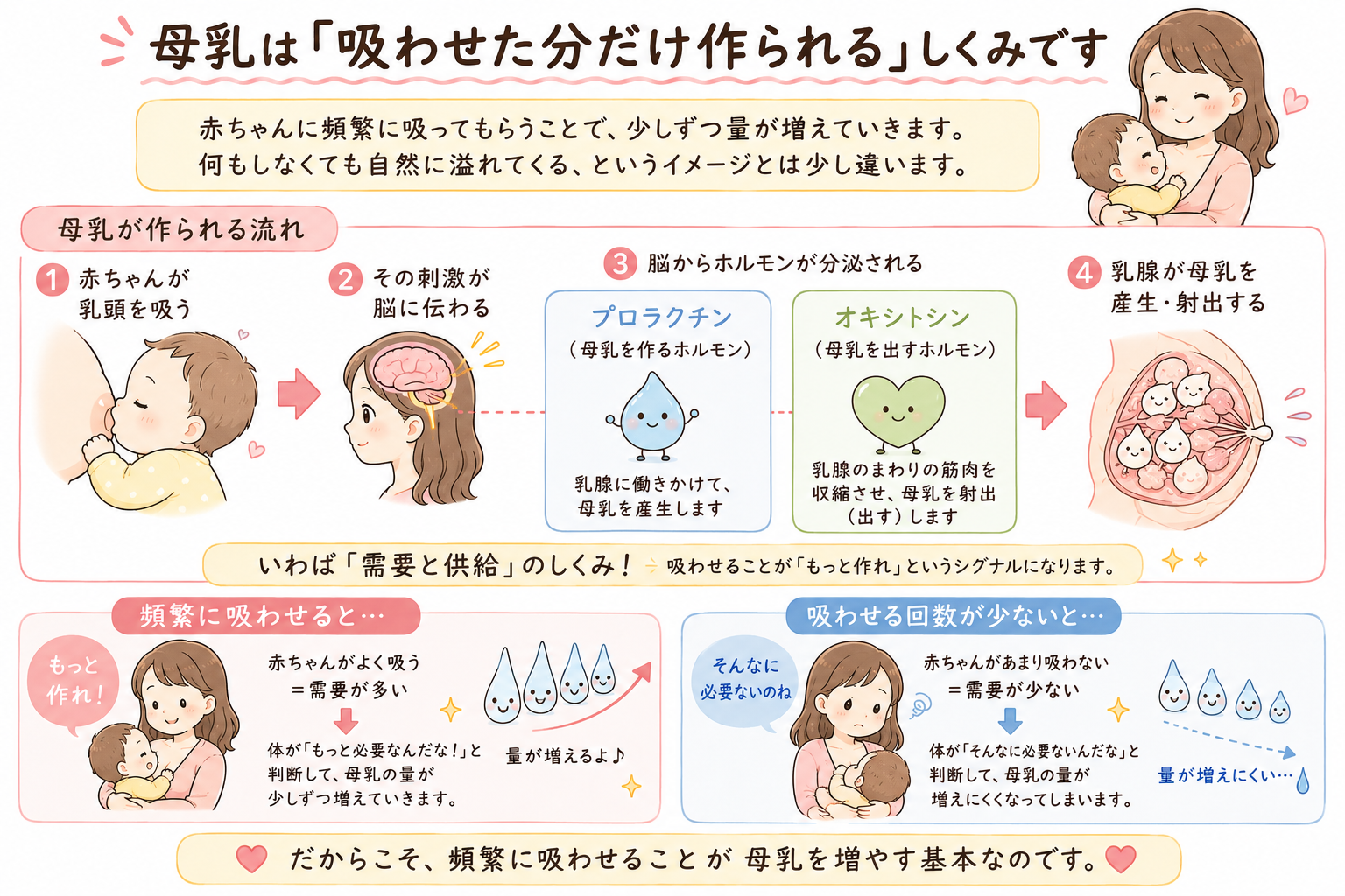 母乳は吸わせた分だけ作られるしくみ