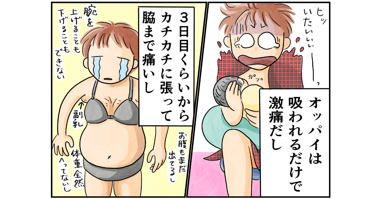助産師が描いたマンガ 出産と育児の想像と現実 3枚目